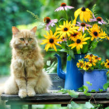 Cat and Flowers Jigsaw Puzzle 2