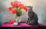 Cat and Flowers Jigsaw Puzzle