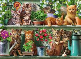 Cats on the Shelf Jigsaw Puzzle