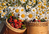 Chamomile and Fruit Jigsaw Puzzle