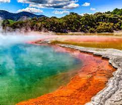 Champagne Pool Jigsaw Puzzle