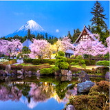 Cherry Blossom Spring Festival Jigsaw Puzzle