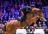 Chestnut Jumping Horse FEI World Cup