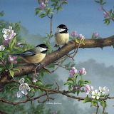 Desenhos de Chickadees in Spring Jigsaw Puzzle para colorir