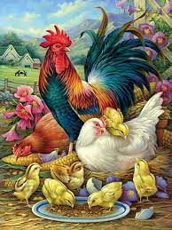 Chicken Yard Puzzle Jigsaw