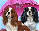 Cocker Spaniel Jigsaw Puzzles