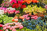 Colored Flowers Jigsaw Puzzle
