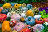 Colorful Fall Jigsaw Puzzle