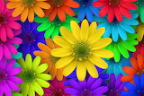 Colorful Flowers 2 Jigsaw Puzzle