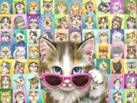Cool Cats Jigsaw Puzzle