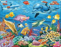 Coral Reef Jigsaw Puzzle