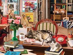 Cozy Bookshop Jigsaw Puzzle