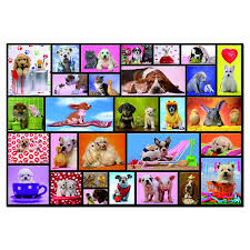 Cute Pets Jigsaw Puzzle