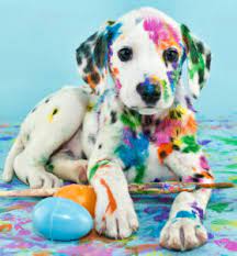 Dalmatian Puppy Jigsaw Puzzle