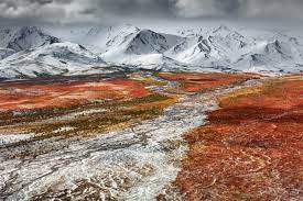 Denali National Park Jigsaw Puzzle