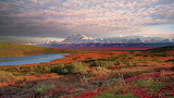 Denali National Park Puzzle Jigsaw