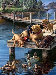 Dogs Summer School Jigsaw Puzzle