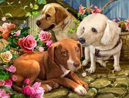Dogs and Roses Jigsaw Puzzle