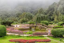 Doi Inthanon Park Thailand Jigsaw Puzzle