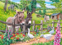 Donkeys On Farm Jigsaw Puzzle