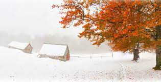 Fall Snow Jigsaw Puzzle