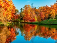 Fall, leaves, fall Jigsaw Puzzle