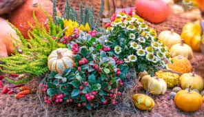 Festive Arrangement Jigsaw Puzzle