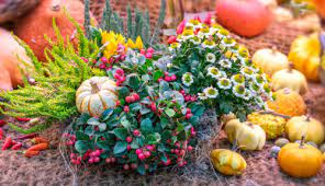 Festive Arrangement Jigsaw Puzzle