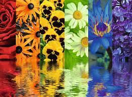Floral Reflections Jigsaw Puzzle
