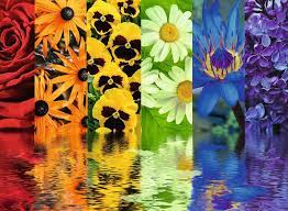Floral Reflections Jigsaw Puzzle