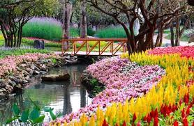 Flowers and Bridge Jigsaw Puzzle