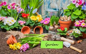 Desenhos de Gardening Tools Jigsaw Puzzle para colorir