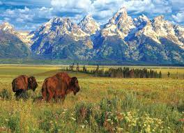 Grand Teton National Park Puzzles Jigsaw