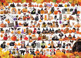 Halloween Pets Jigsaw Puzzle