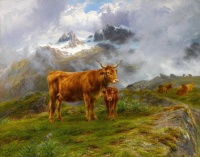 Highland Cattle Jigsaw puzzle