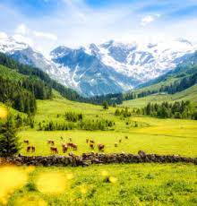 Hohe Tauern Park Jigsaw Puzzle