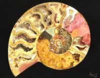 Jigsaw Ammonite Shell Puzzles