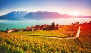 Lavaux Vineyards Jigsaw Puzzle