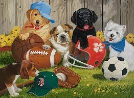 Let’s Play Ball Jigsaw Puzzle