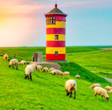 Desenhos de Lighthouse Sheep Jigsaw Puzzle para colorir