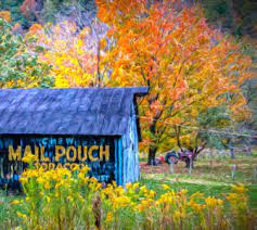 Mail Pouch Tobacco Barn Jigsaw Puzzle