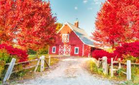 Maine Barn Jigsaw Puzzle