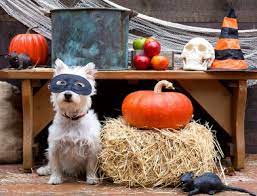 Masked Marvel Jigsaw Puzzle