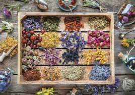Medicinal Herbs Jigsaw Puzzle 2