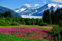 Mendenhall Glacier Jigsaw Puzzle