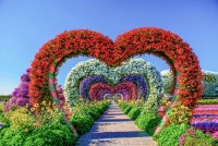 Miracle Garden, Dubai, UAE Jigsaw Puzzle