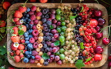 Mixed Berries Jigsaw Puzzle