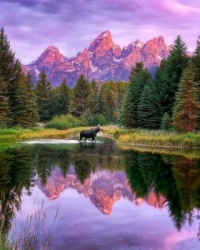 Mountain Reflections Jigsaw Puzzle