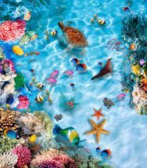 Ocean Menagerie Jigsaw Puzzle