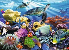 Ocean Turtles Jigsaw Puzzle